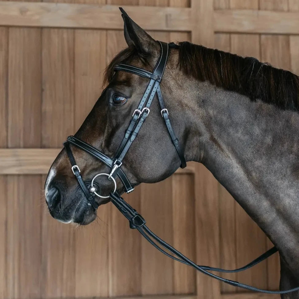 Working Collection Flash Noseband Bridle with Snap Cheekpieces