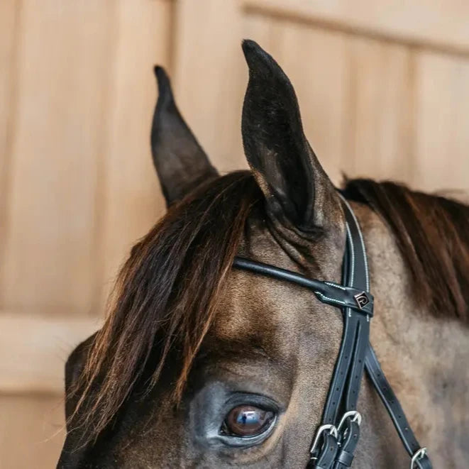 Working Collection Round Leather Bridle