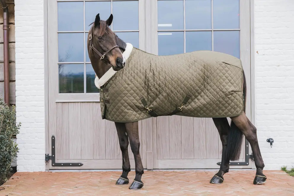 Show Rug - Khaki