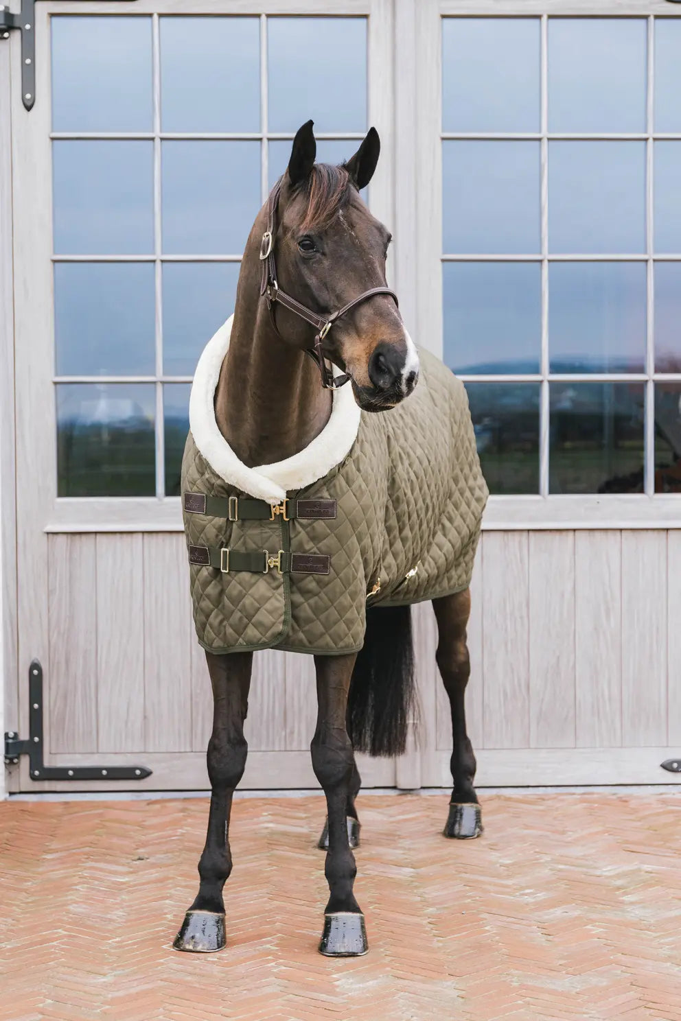 Show Rug - Khaki