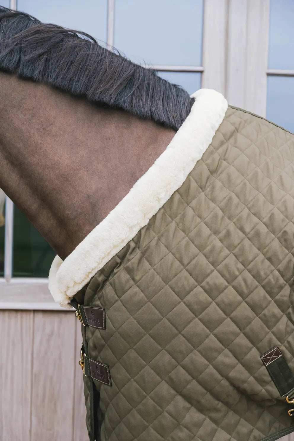 Show Rug - Khaki