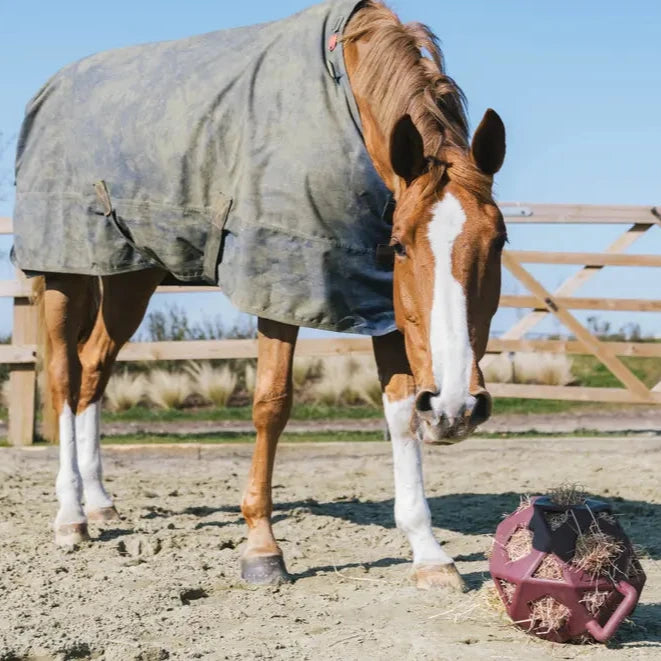 Relax Horse Play & Hay Ball - Burgundy