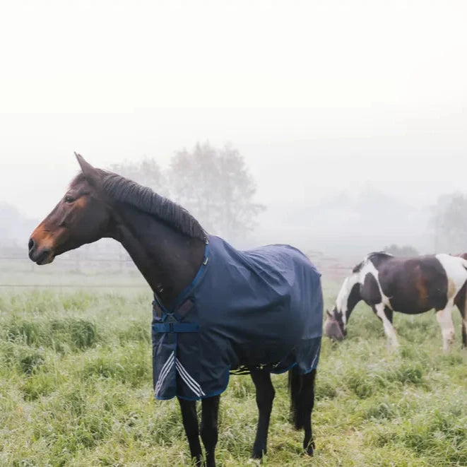 Turnout Rug All Weather Waterproof Comfort - Navy