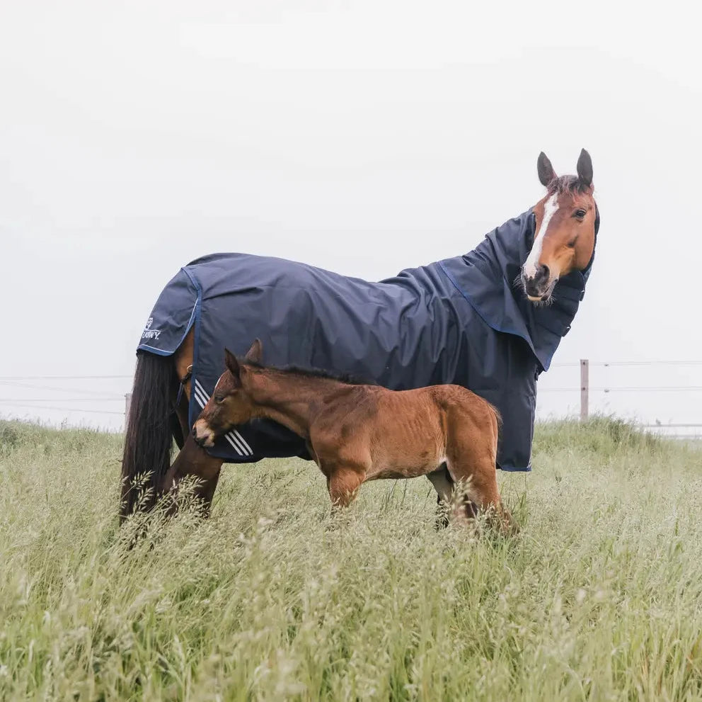 Turnout Rug All Weather Waterproof Comfort - Navy