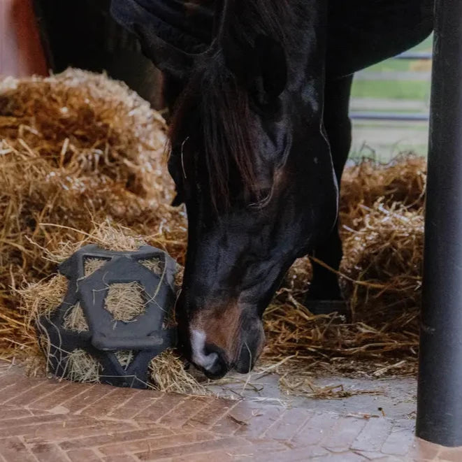 Relax Horse Play & Hay Ball - Grey