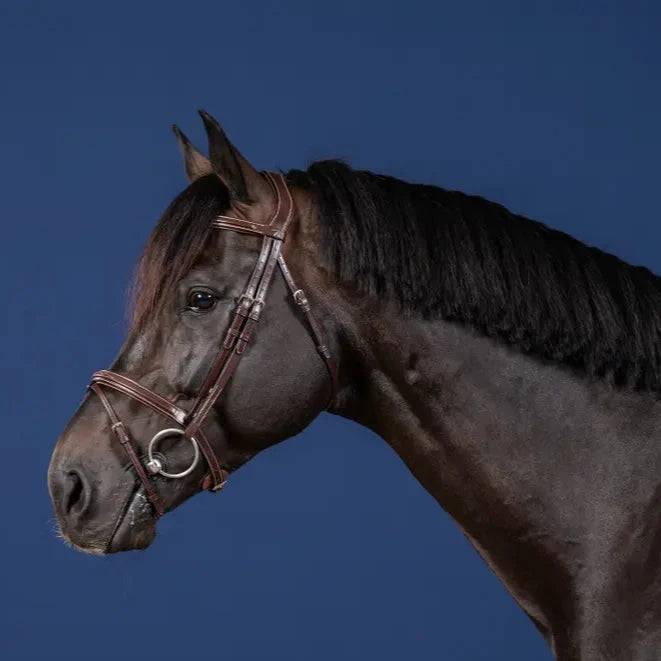 Hunter Flash Noseband Bridle