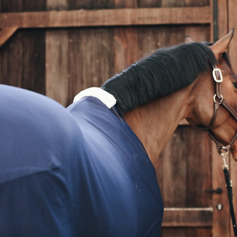 Cooler Fleece Rug - Navy