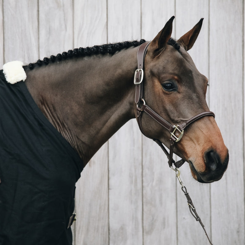 Anatomic Leather Halter - Brown