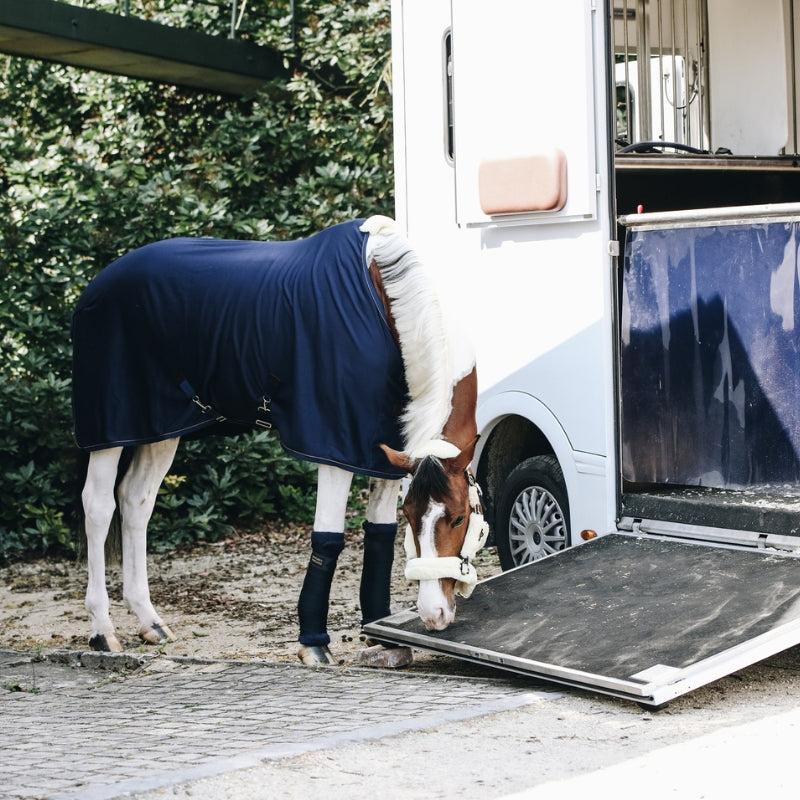 Cooler Fleece Rug - Navy