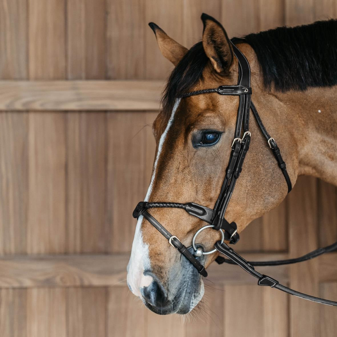 D Collection Braided Noseband Bridle with Removable Flash