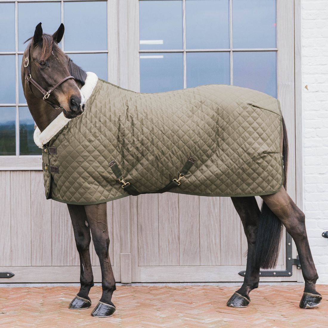 Show Rug - Khaki