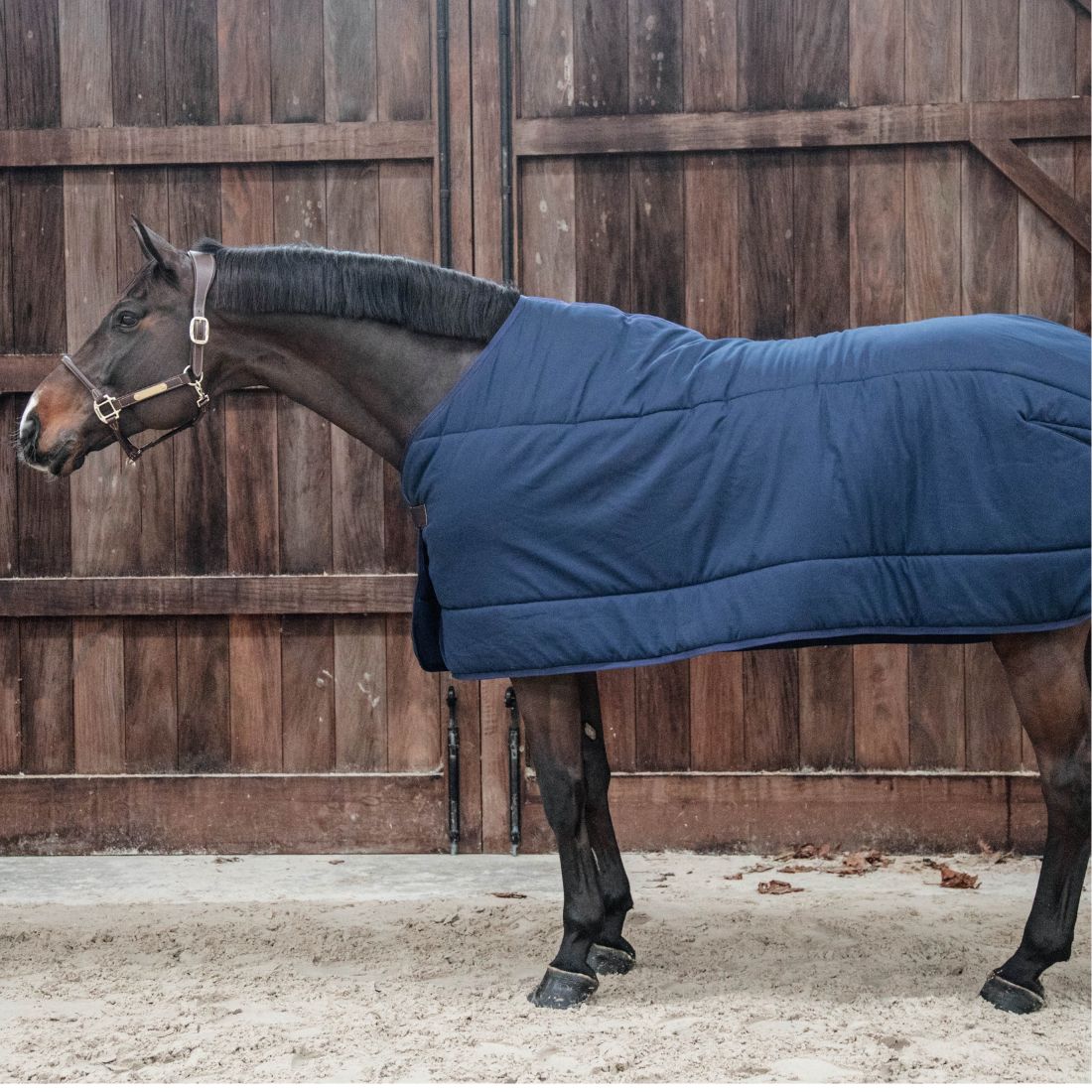 Under Rug Skin Friendly 150g - Navy