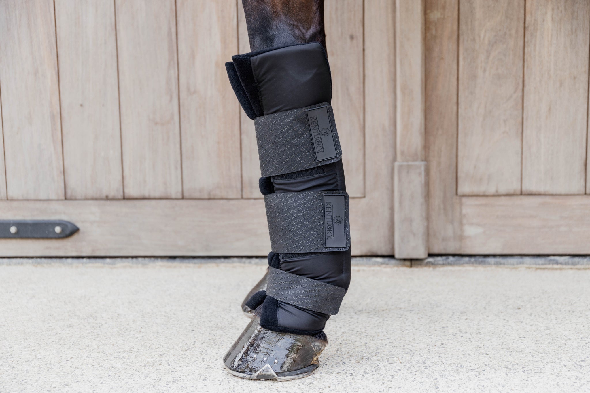 Stable Boots Protect Long Front - Black