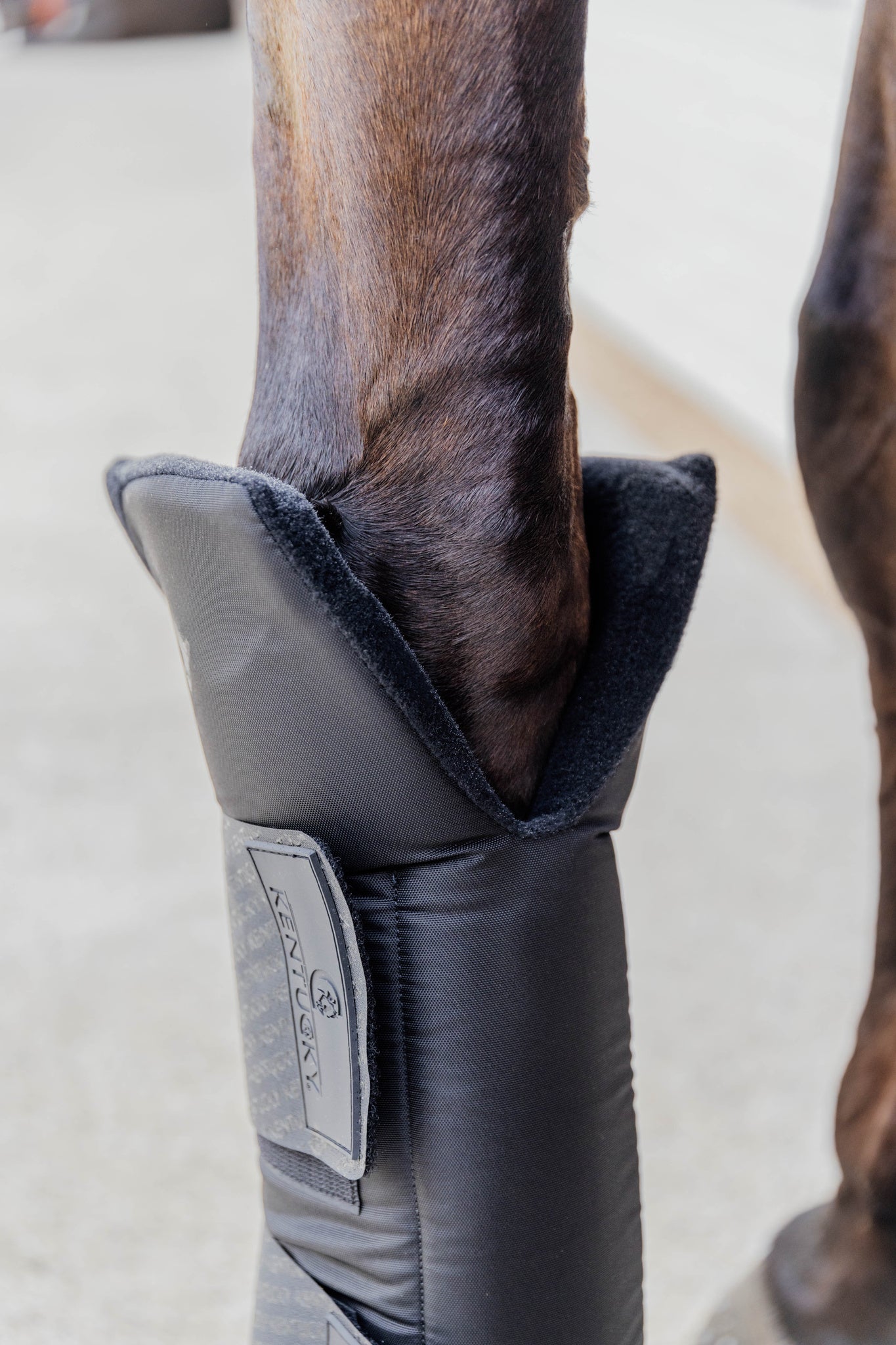 Stable Boots Protect Long Front - Black