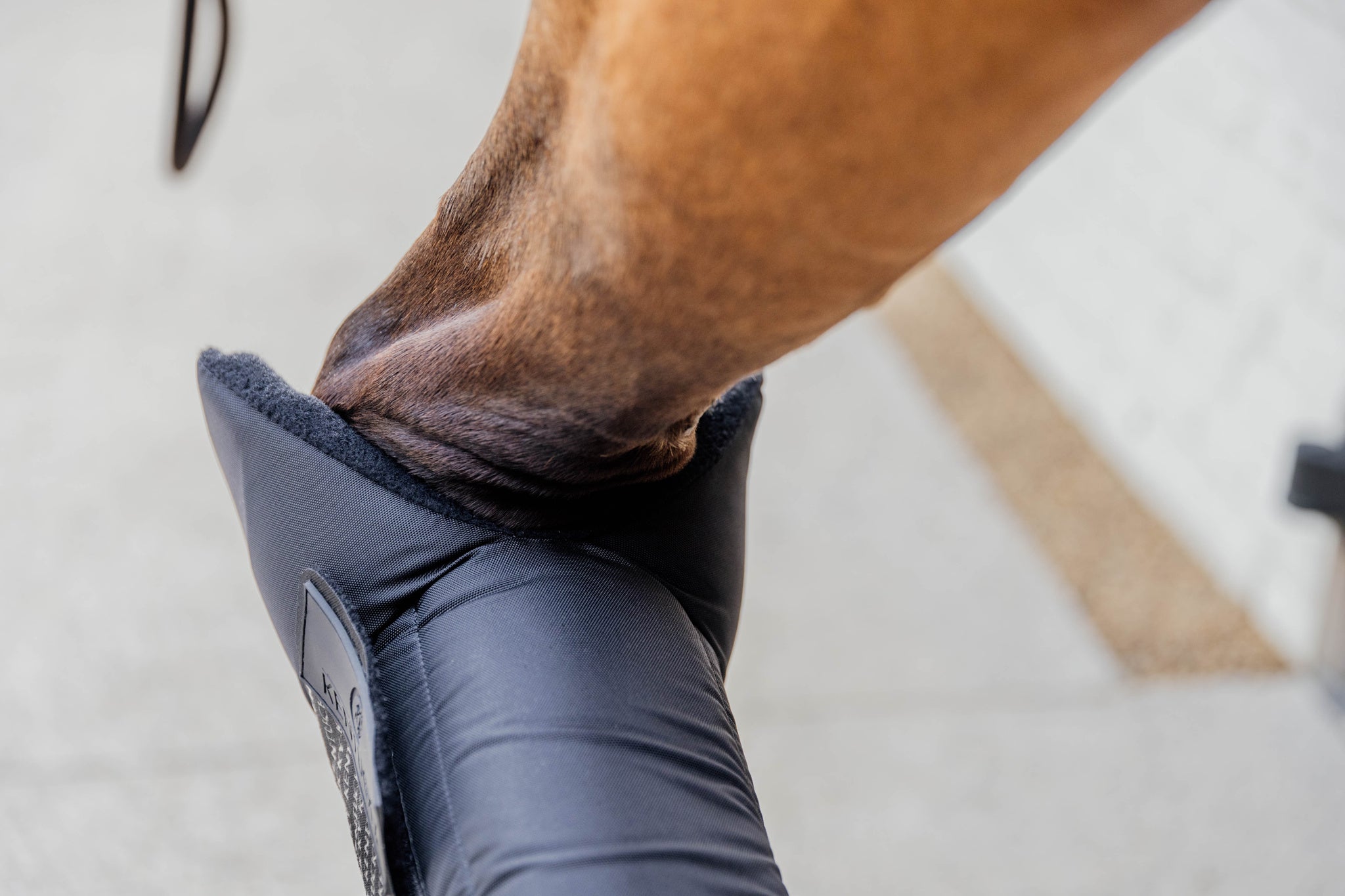 Stable Boots Protect Long Front - Black