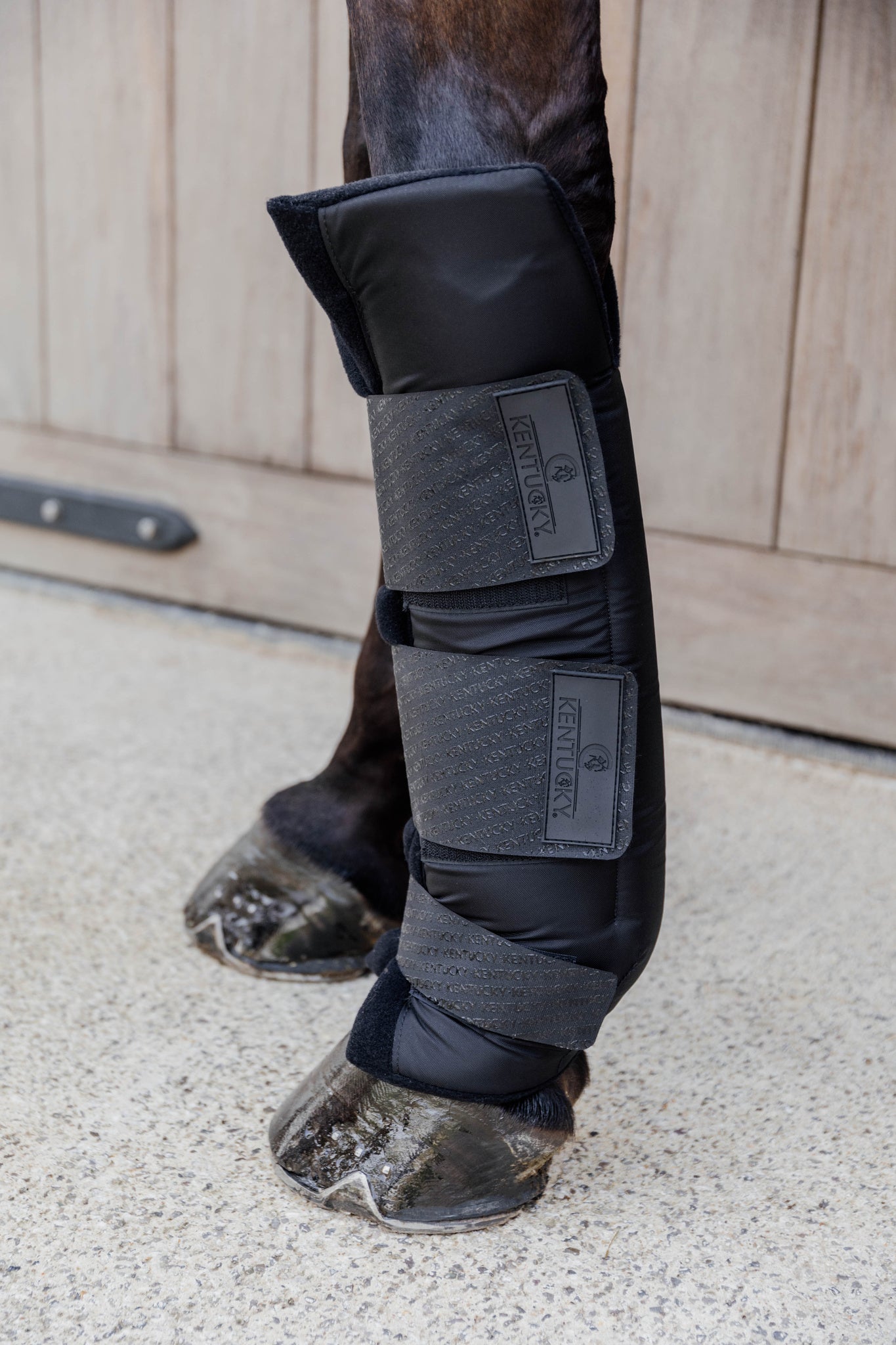 Stable Boots Protect Long Front - Black