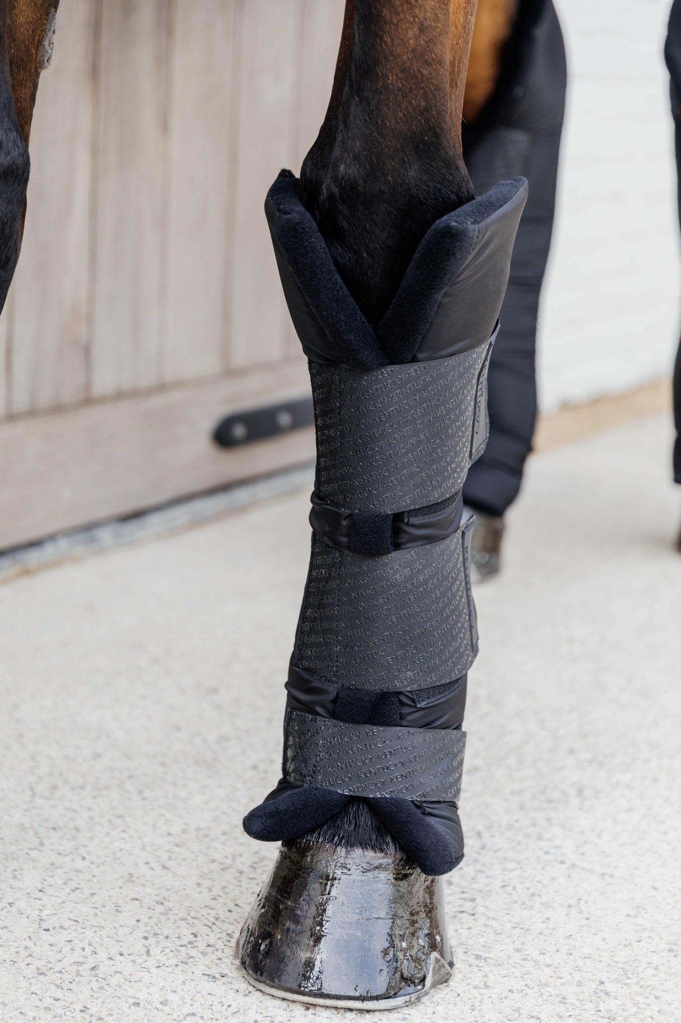 Stable Boots Protect Long Front - Black