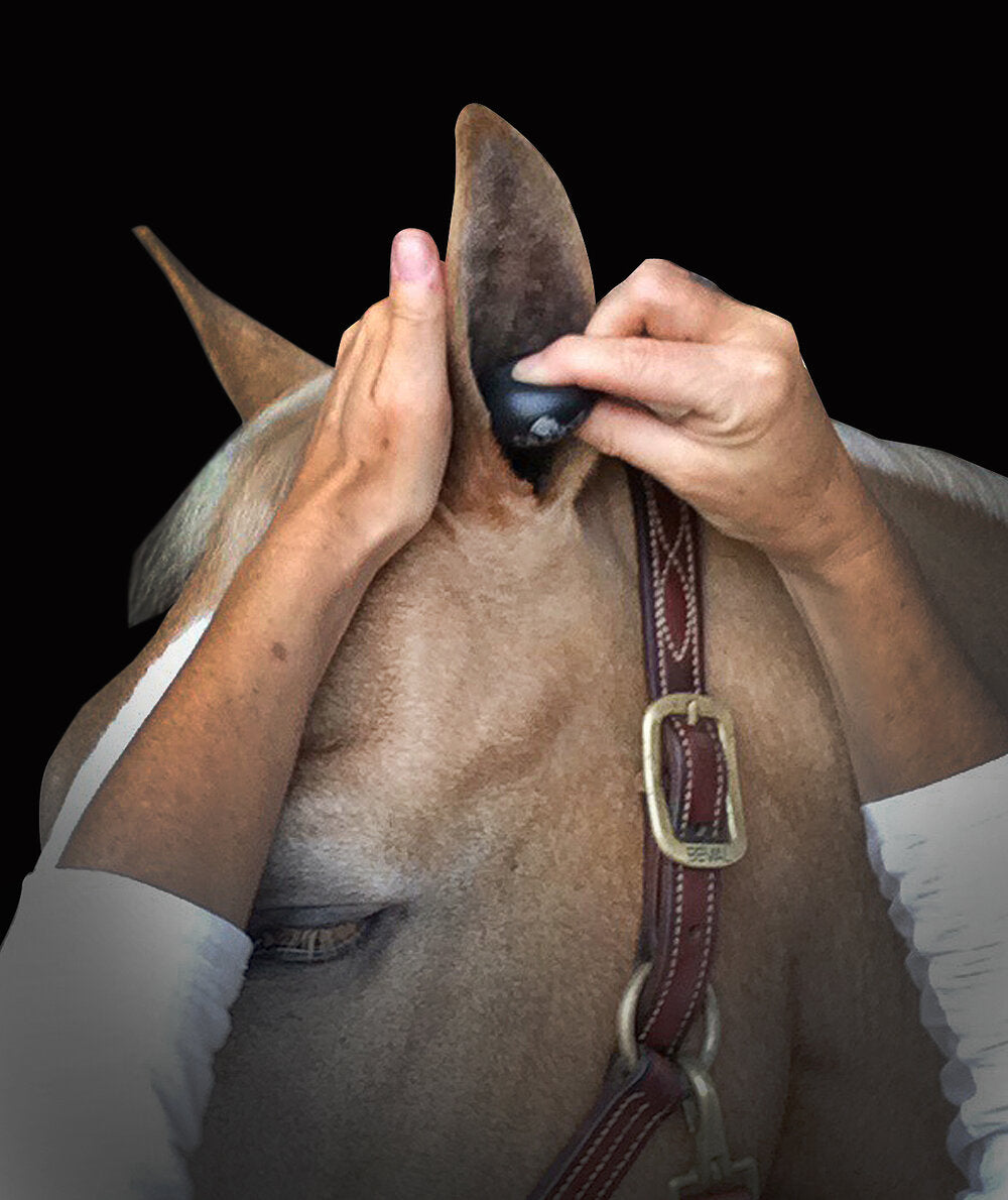 Horse Stable Pack Ear Plugs