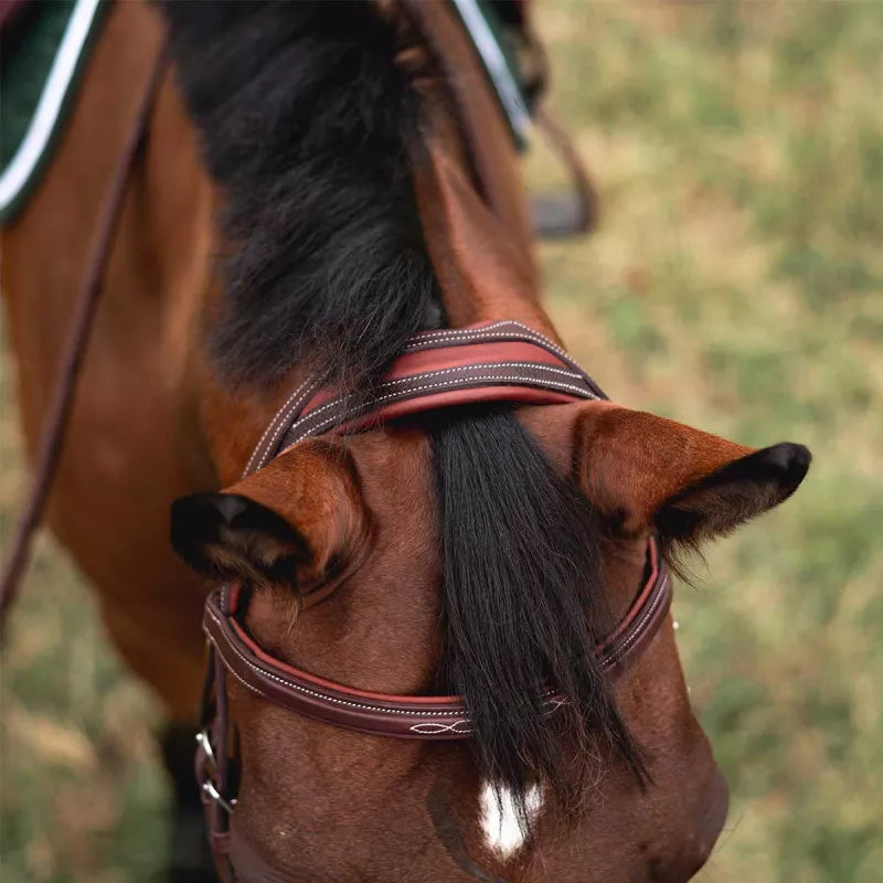 Chiberta Bridle Wide Headpiece