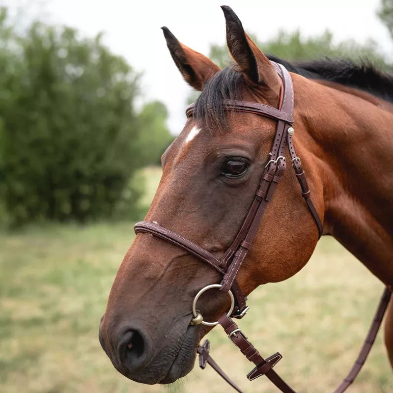 Chiberta Bridle Wide Headpiece