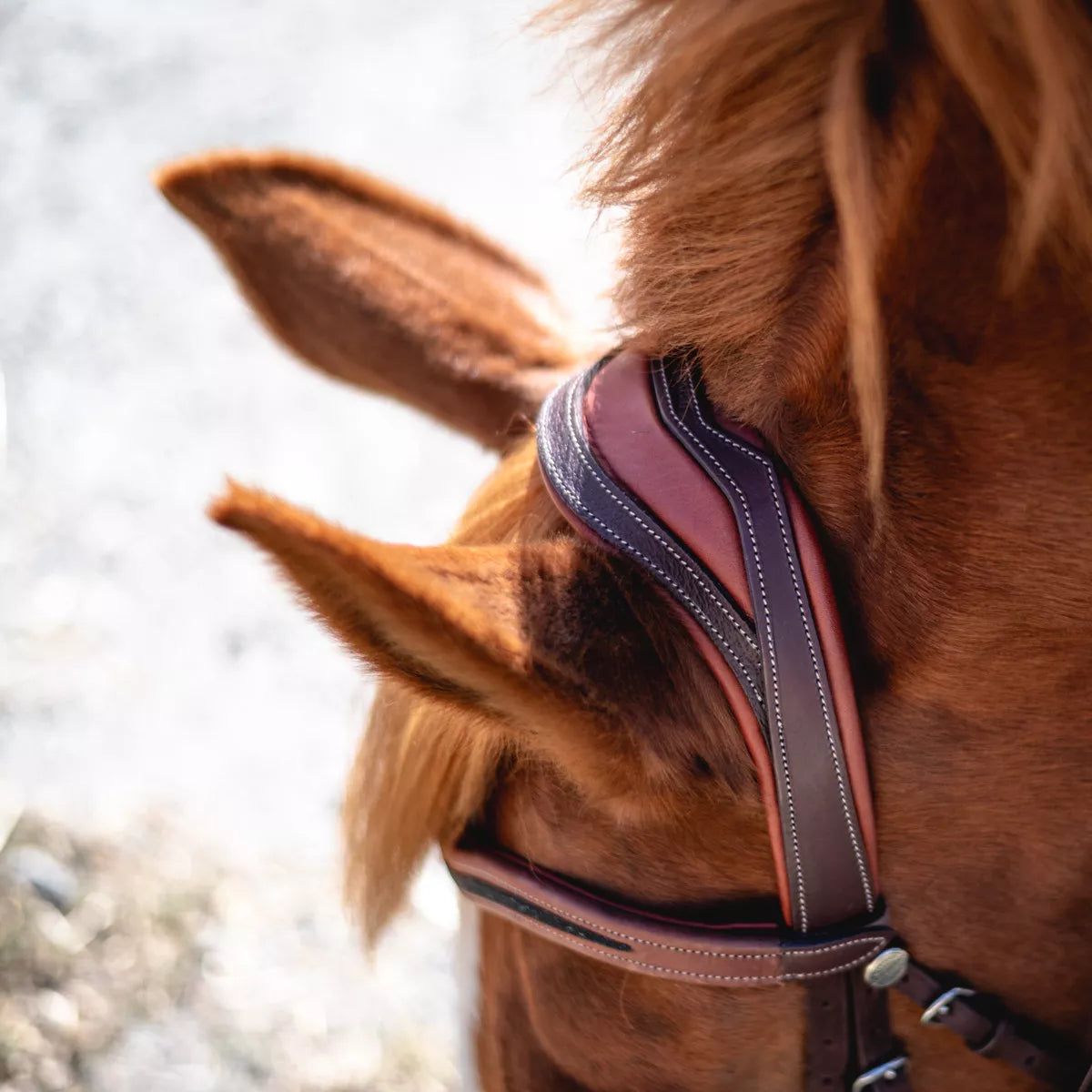 Crystal Makila Bridle