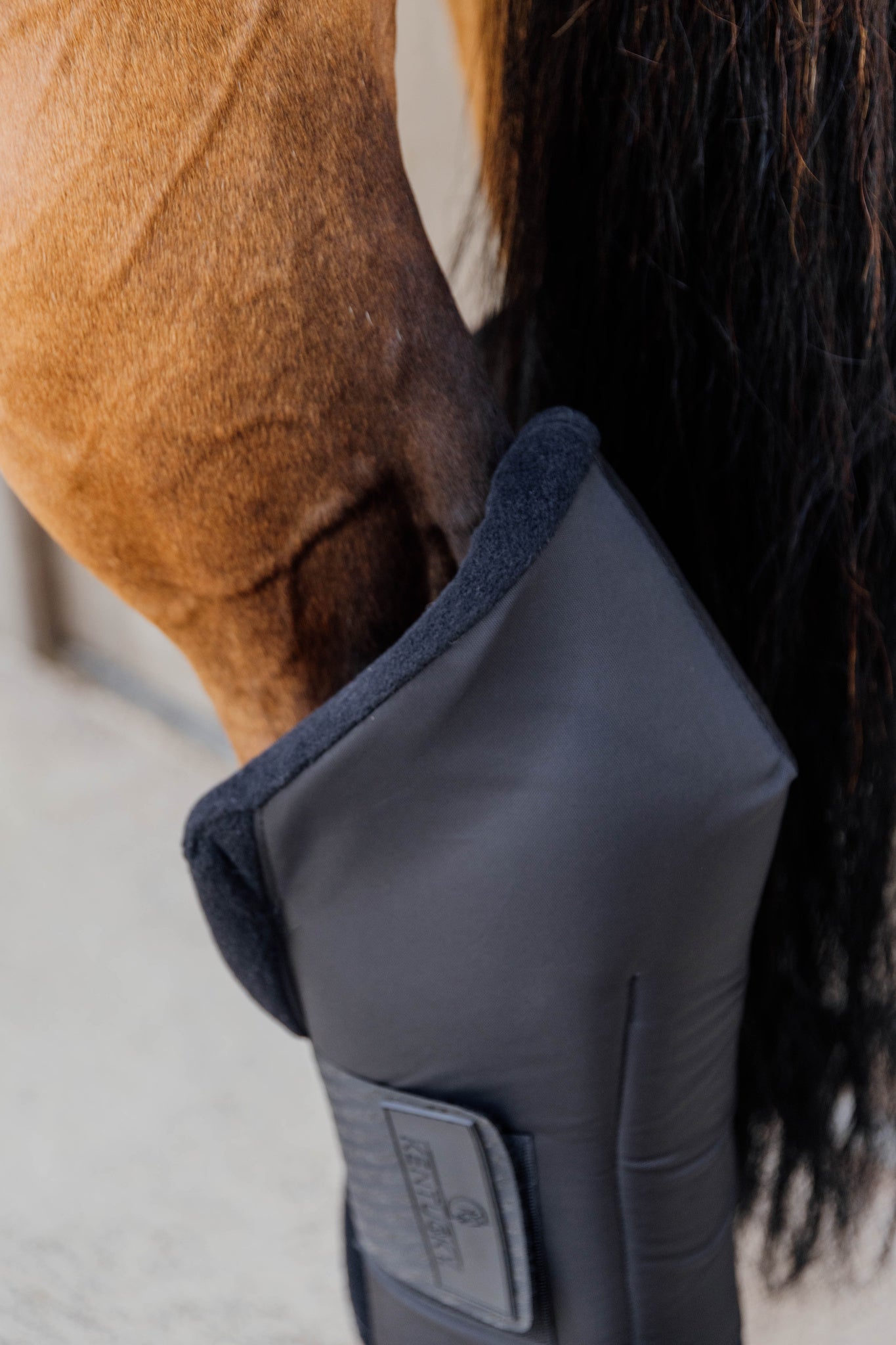 Stable Boots Protect Long Hind - Black