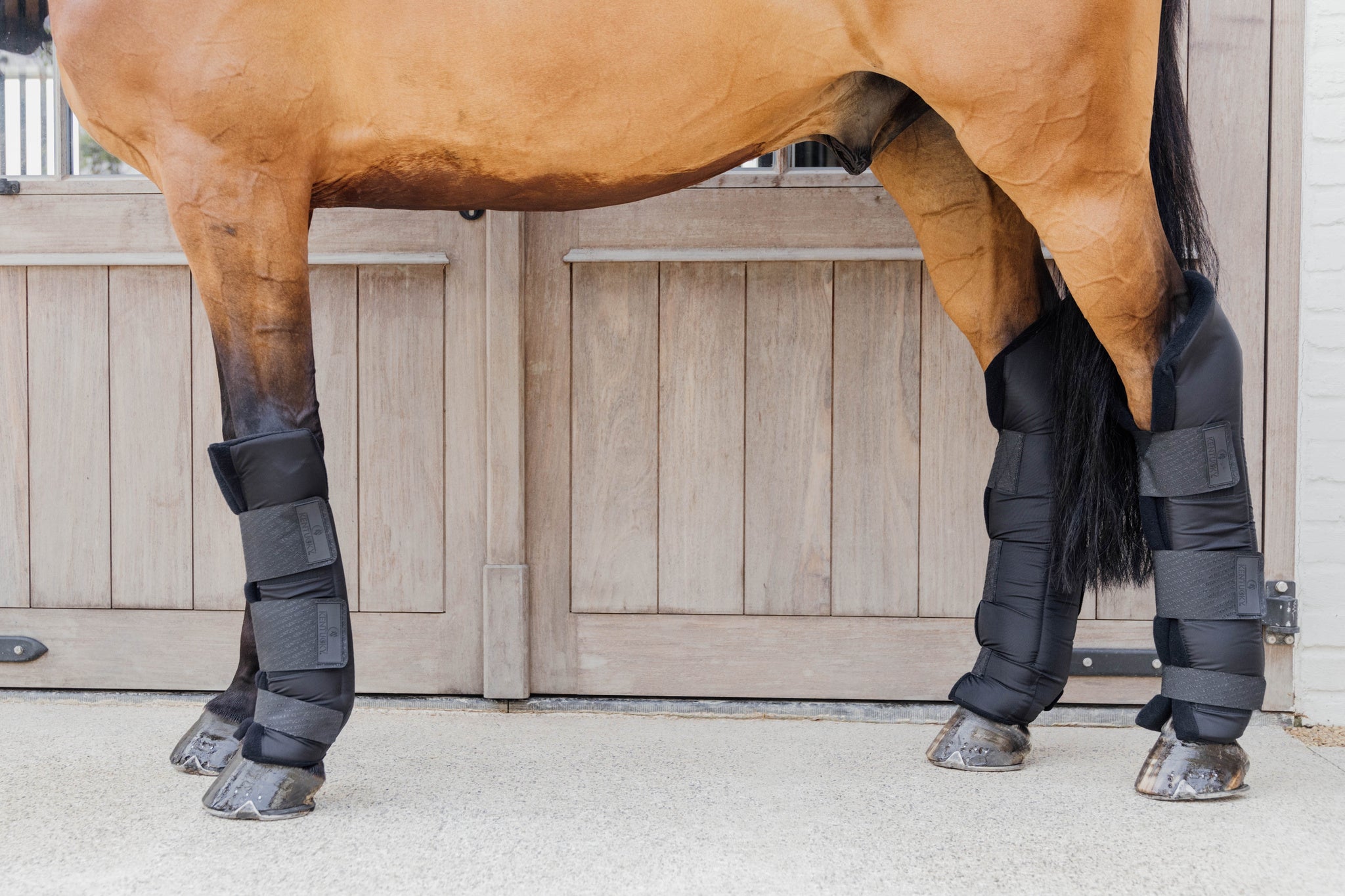 Stable Boots Protect Long Hind - Black