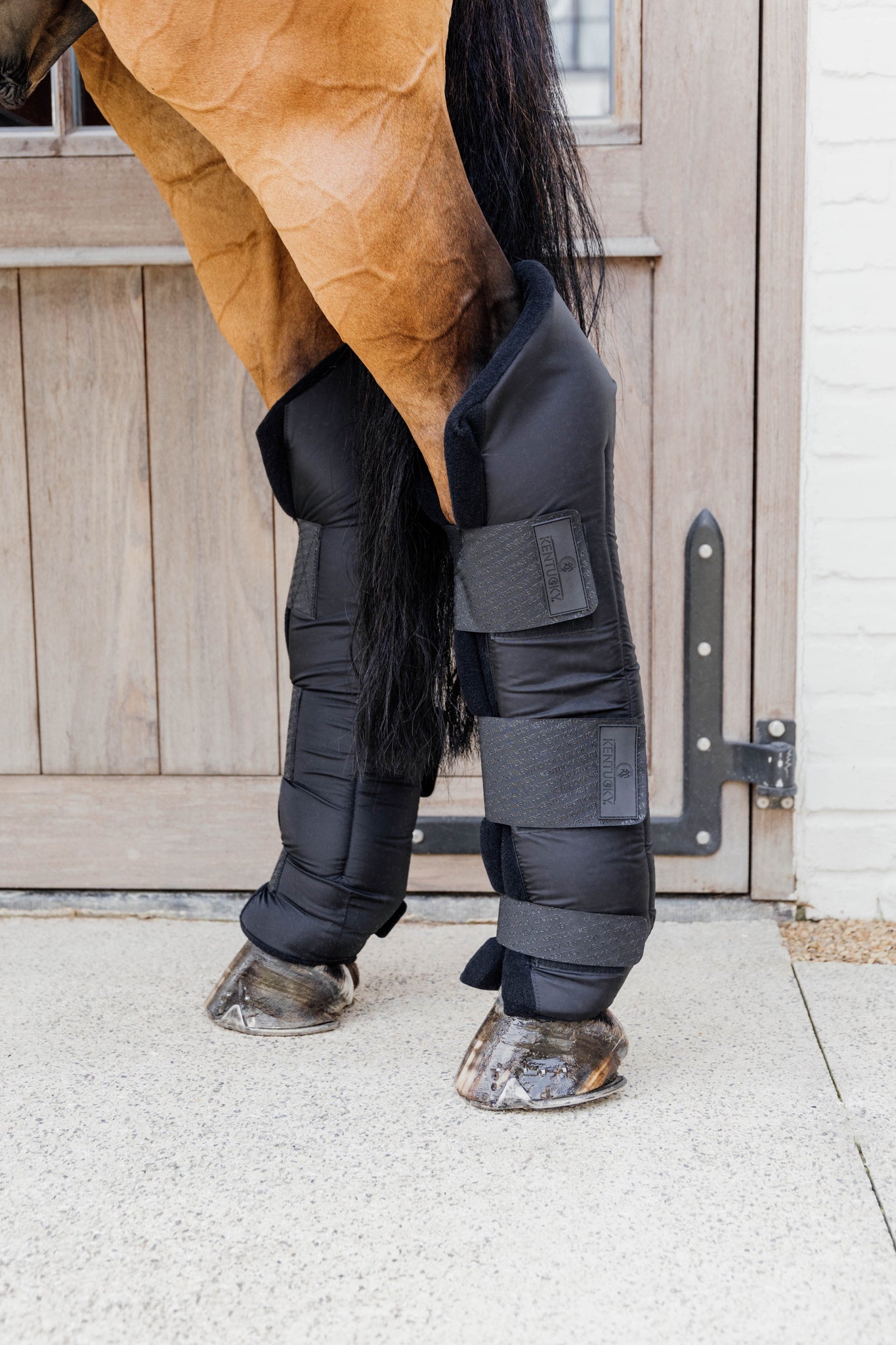 Stable Boots Protect Long Hind - Black