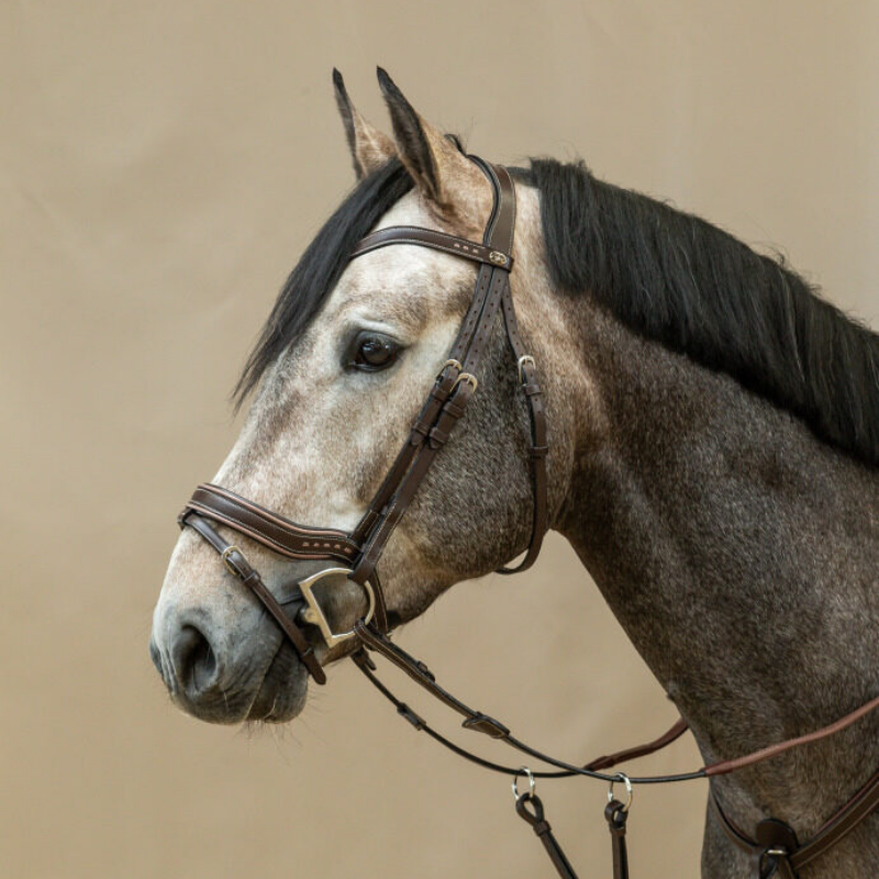 product shot image of the Working Fit Bridle