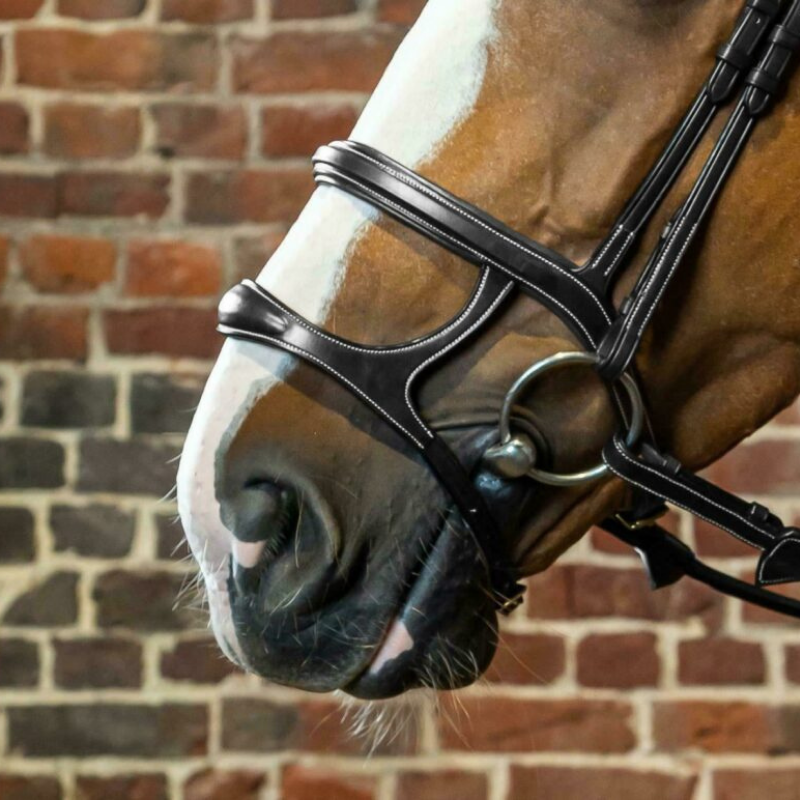 product shot image of the Double Noseband - Brown