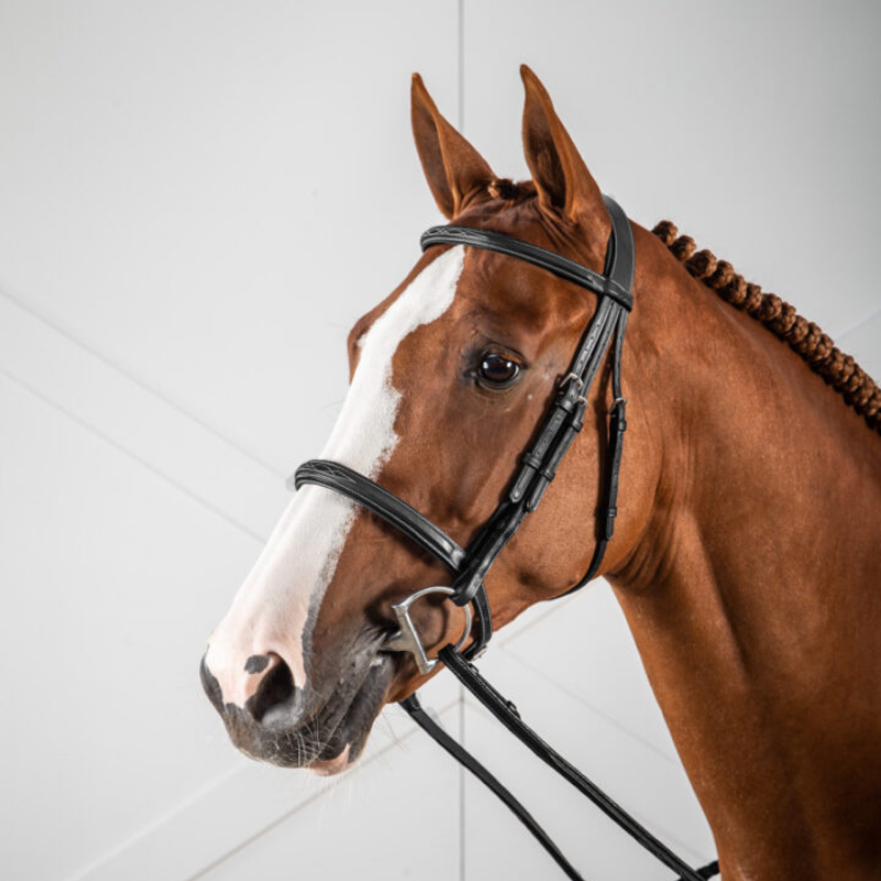 product shot image of the Hunter Cavesson Noseband Bridle