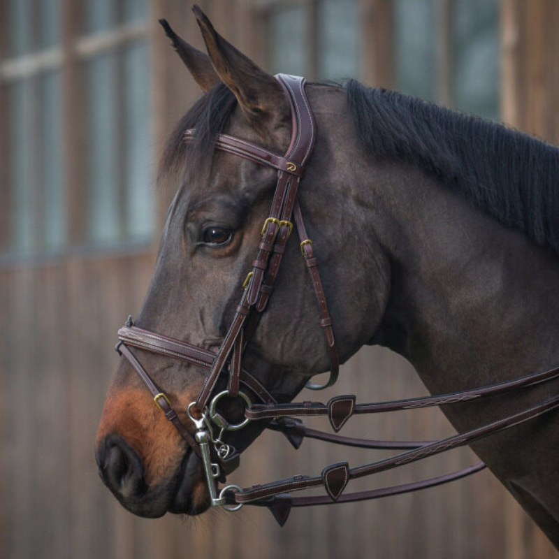 product shot image of the Double Bridle Cheekpieces - Brown