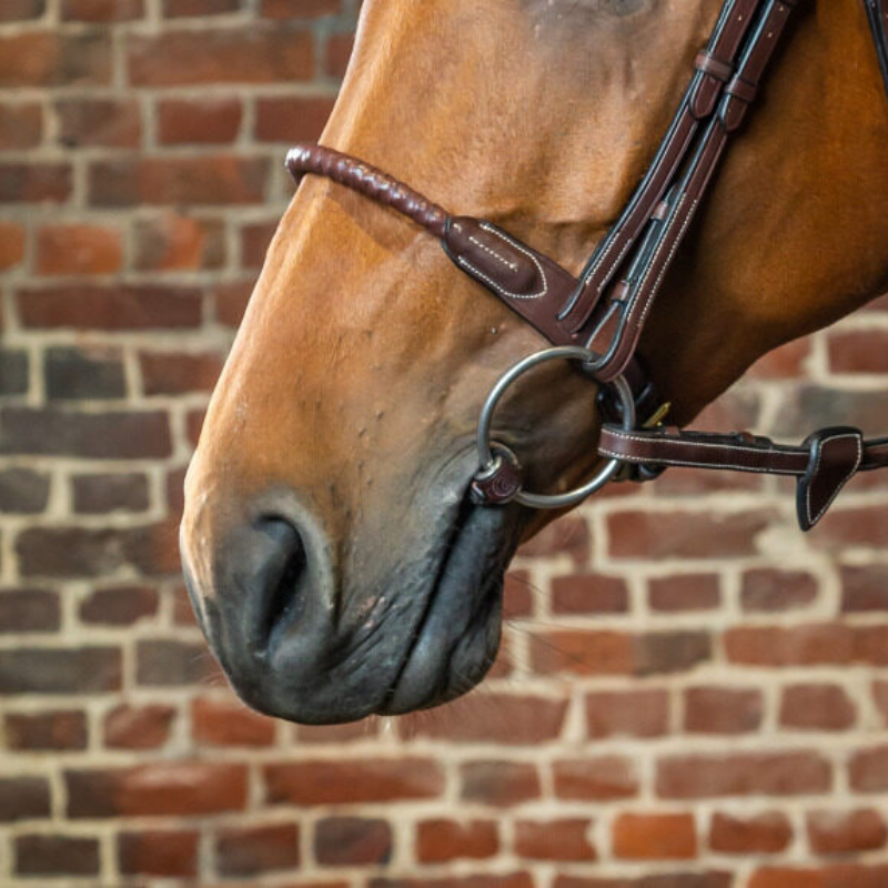 product shot image of the D Collection Leather Covered Rope Noseband