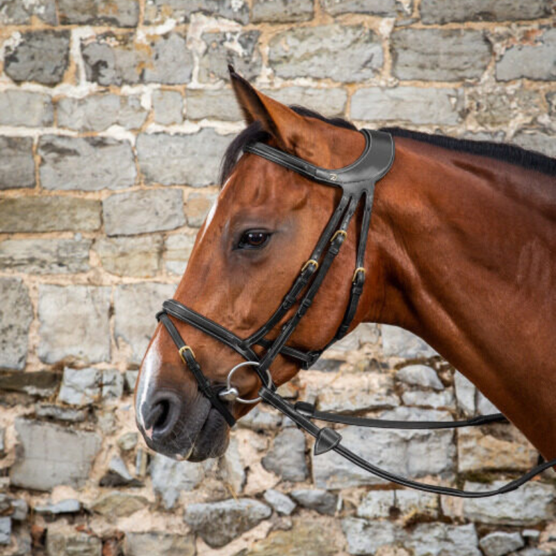 product shot image of the Difference Bridle
