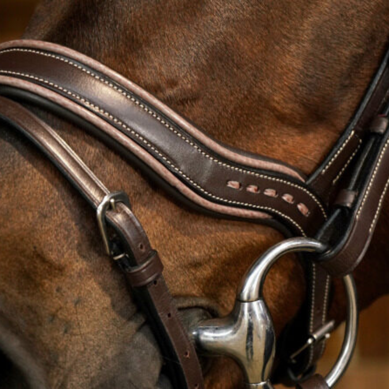 product shot image of the Working Fit Bridle