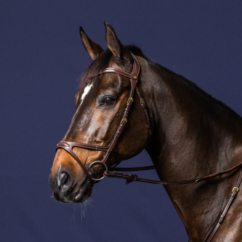 product shot image of the X-Fit Bridle