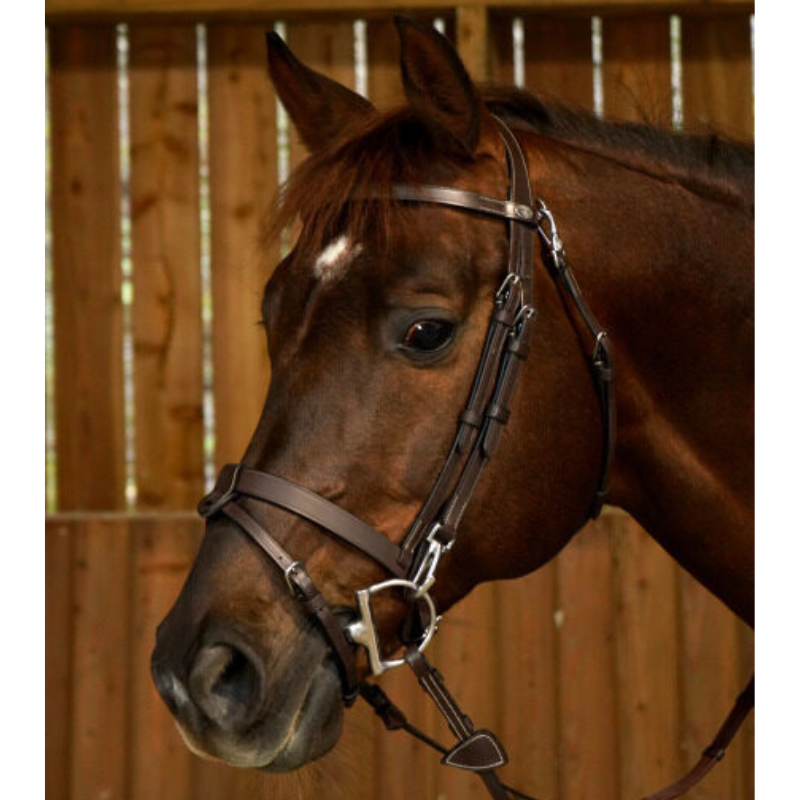 product shot image of the Working Flat Leather Bridle with Snap Hooks