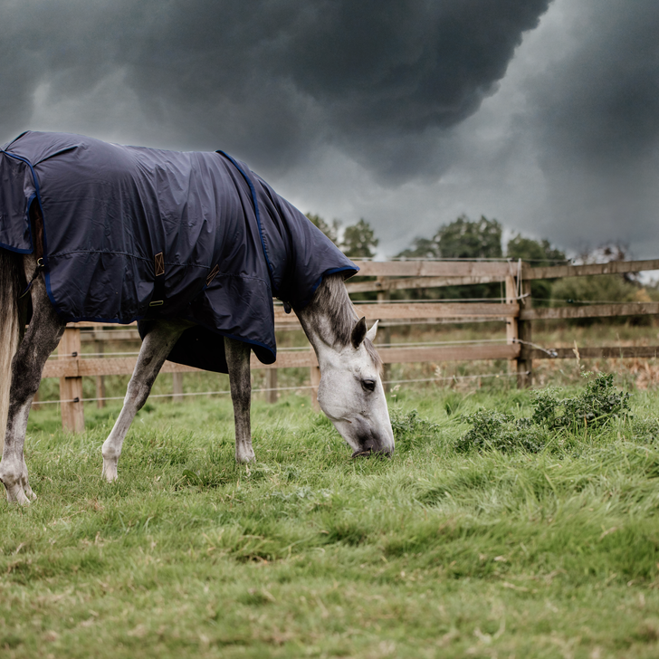 product shot image of the Turnout Rug All Weather Hurricane - 0g