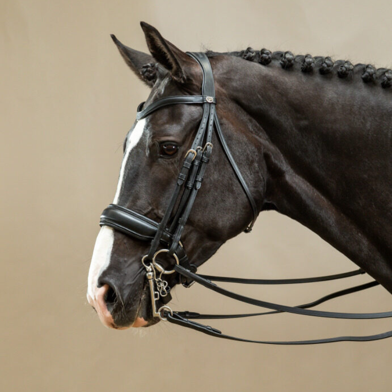 Working Collection Matte Large Crank Noseband Double Bridle