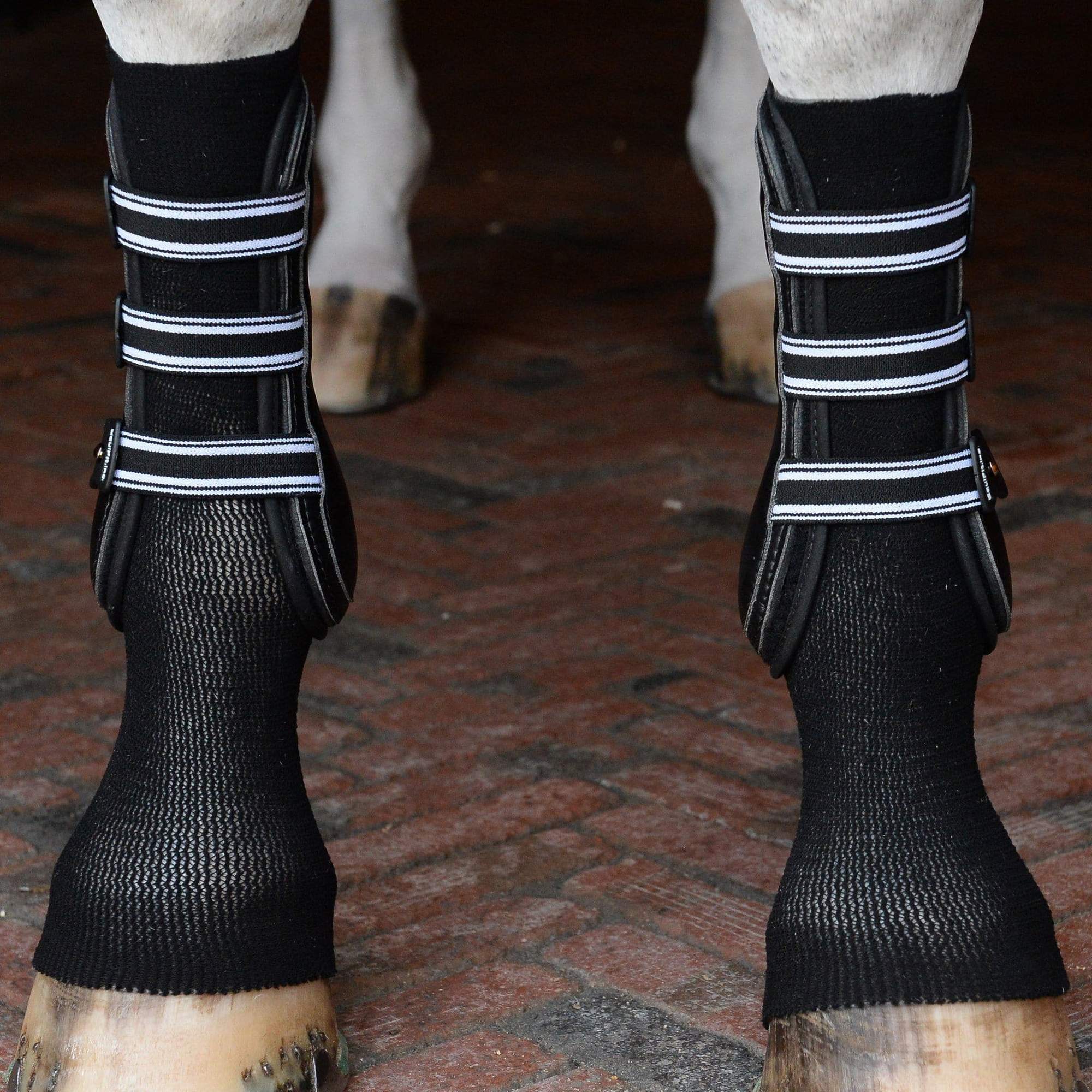 product shot image of the Gelsox For Horses - Black