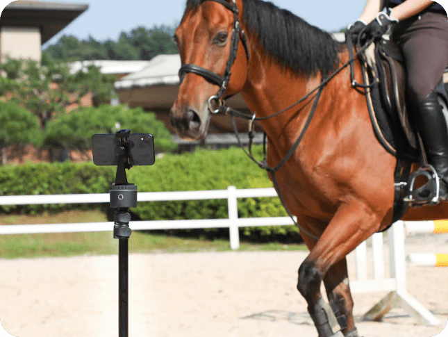 product shot image of the Pivo Equestrian Edition Pro