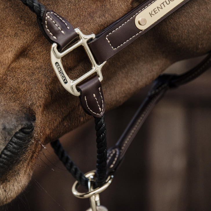 product shot image of the Leather Rope Headcollar - Brown