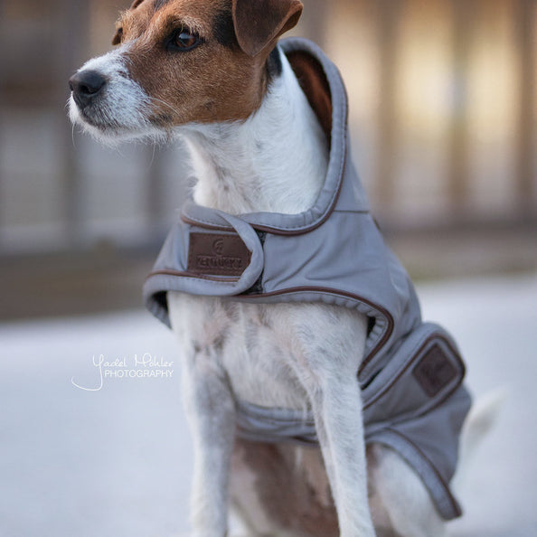 product shot image of the Dog Coat Reflective & Water Repellent
