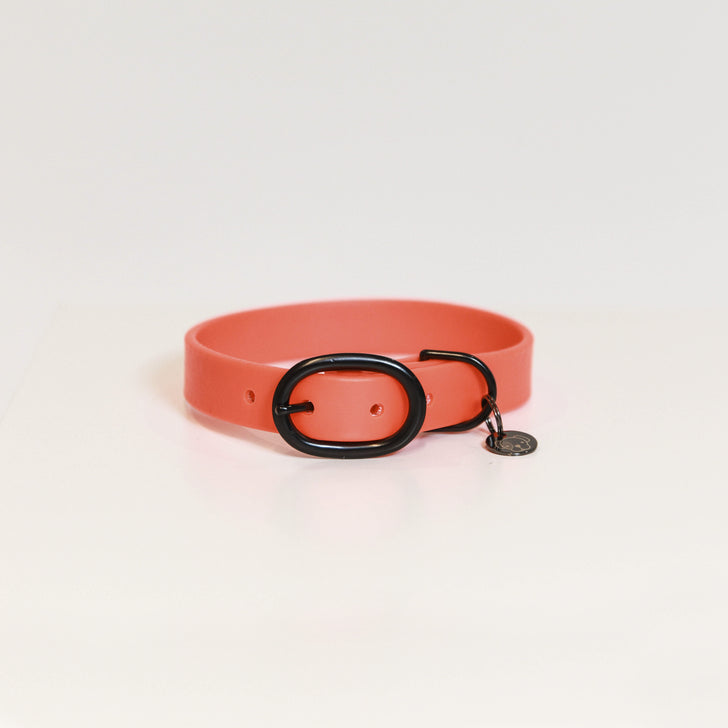 product shot image of the kentucky horsewear dog collar soft rubber orange