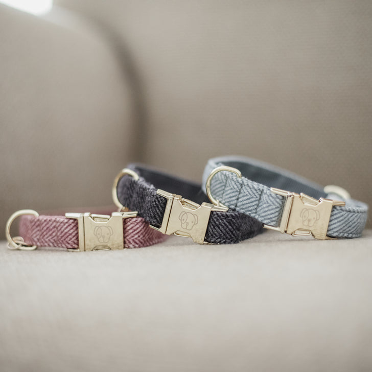 product shot image of the Dog Collar Wool - Grey