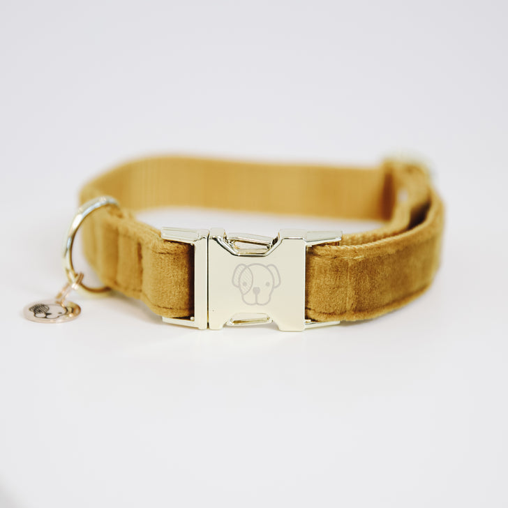 product shot image of the kentucky horsewear dog collar velvet mustard