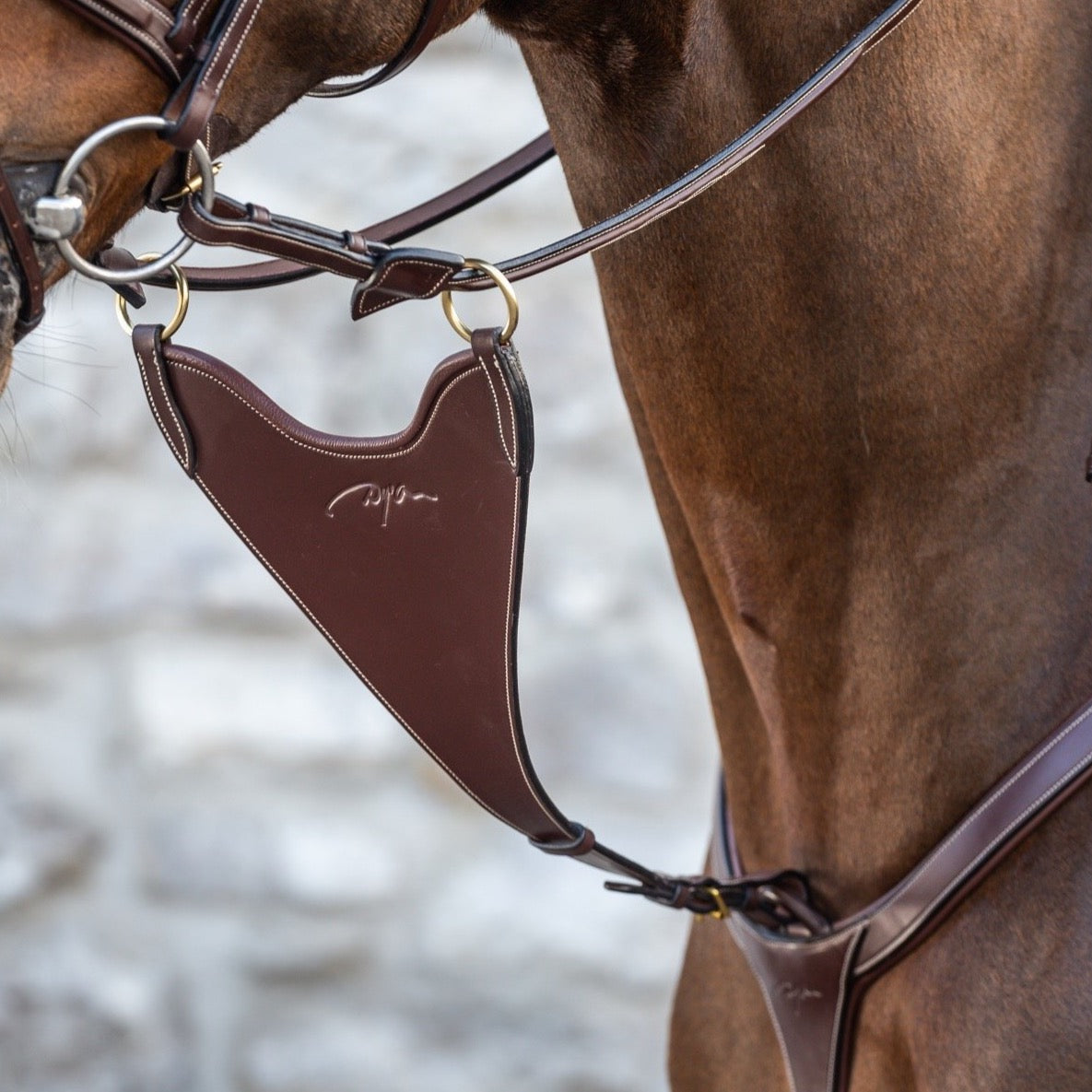 product shot image of the D Collection Hard Bib Martingale Attachment