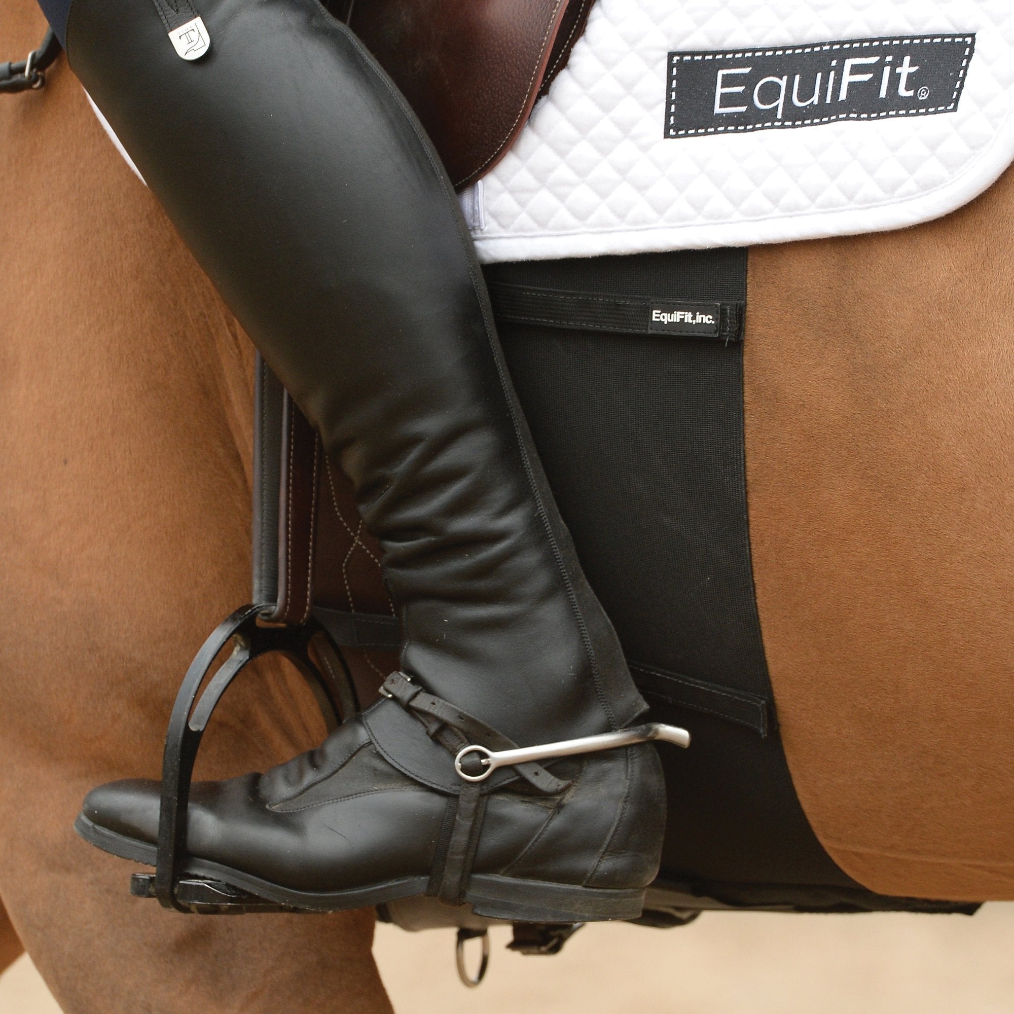 product shot image of the equifit bellyband