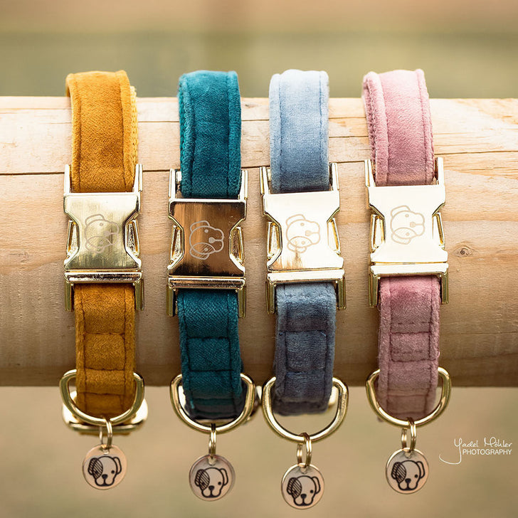 product shot image of the Dog Collar Velvet - Mustard