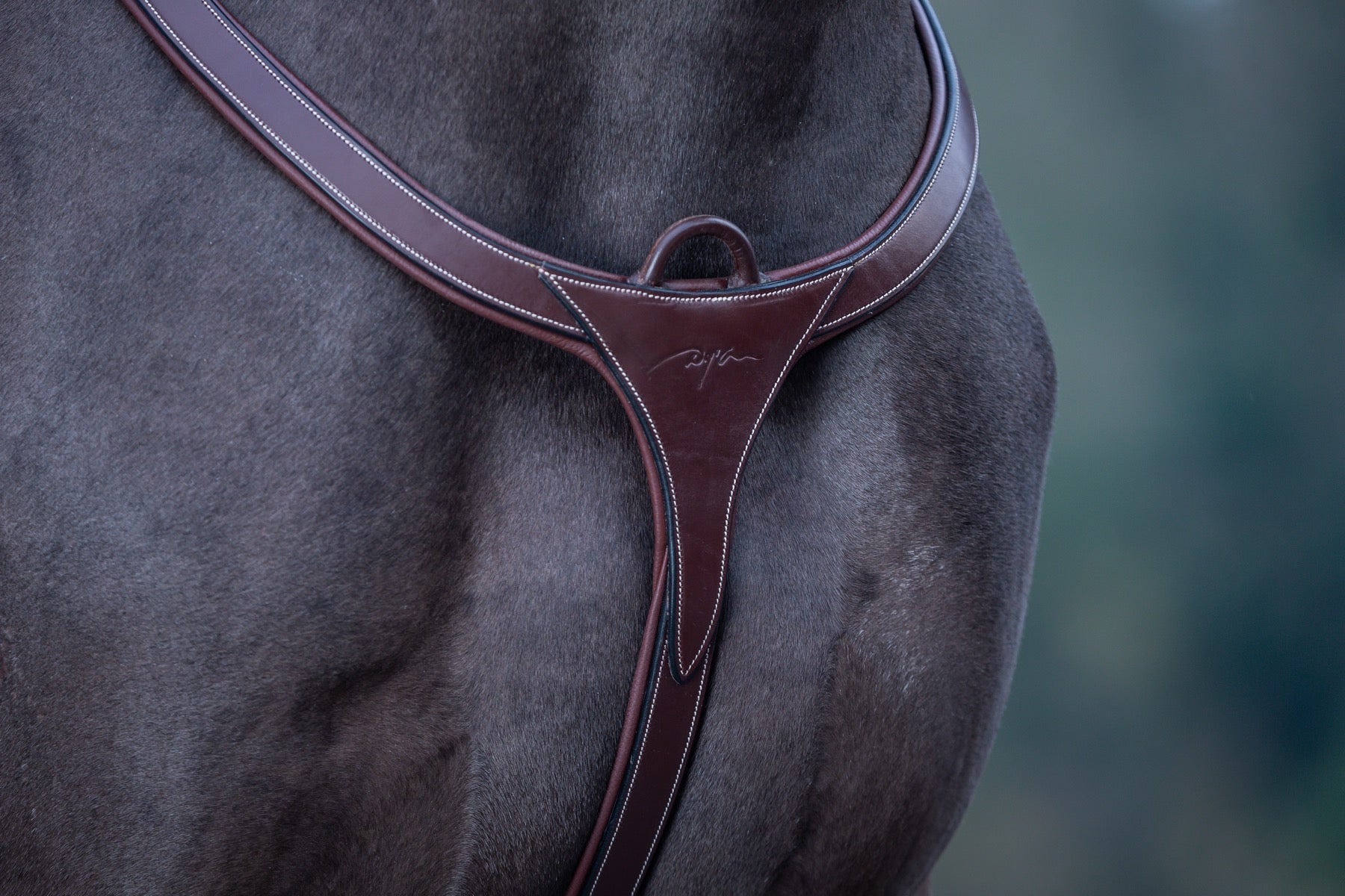 product shot image of the D Collection Long Bridge Breastplate